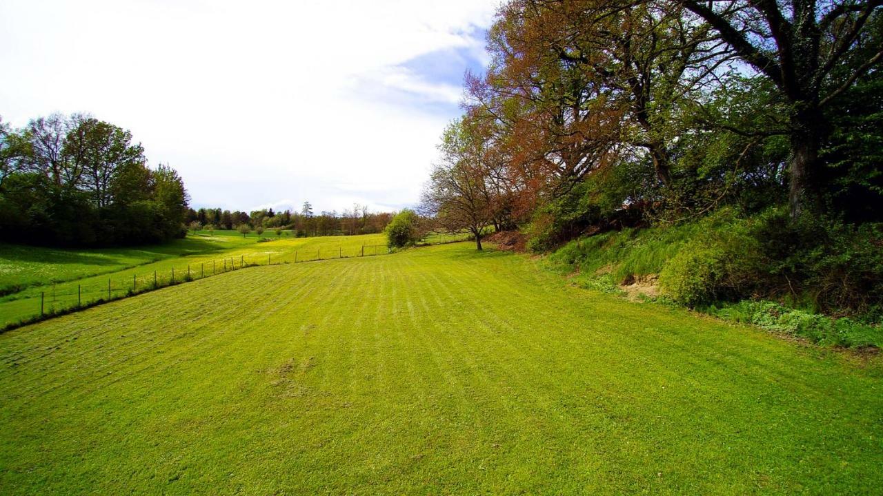 Bodenseedomizil Lägenhet Uhldingen-Mühlhofen Exteriör bild